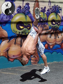 scott ryan martial arts tricking