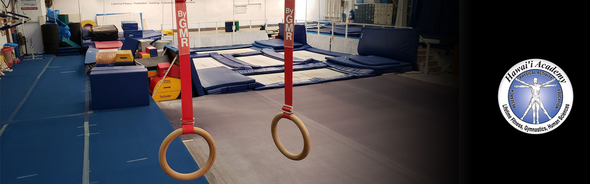 Hawaii Academy Lifetime Fitness Gymnastics Human Sciences